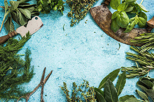 istock Fresh and dryied herbs and spices 526832964