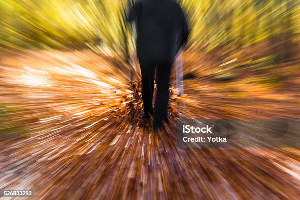 Nordic Walking Sport Run Walk Motion Blur Outdoor Person Legs Stock Photo - Download Image Now