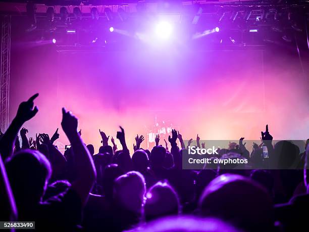 Concert Crowd Stock Photo - Download Image Now - Music Festival, Music, Crowd of People