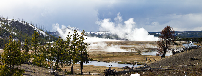 Panoramic view of Yellowstone National Park landscape scene