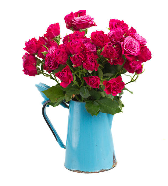 istock bunch of  fresh mauve roses 526834257