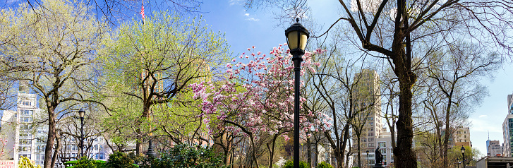 Union Square Park panoramic landscape scene in Manhattan, New York City