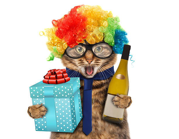 istock Funny cat in costume clown. 526835052