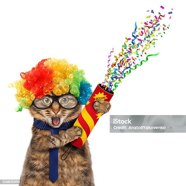 Funny Cat In Costume Clown Stock Photo - Download Image Now - Domestic Cat, Birthday, Congratulating