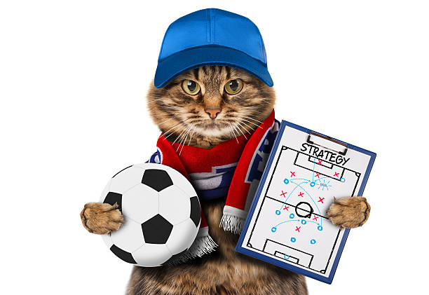 istock Funny cat with soccer ball on white background. 526835166