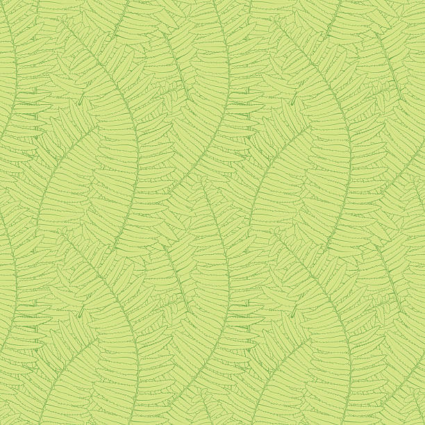 бесшовный фон с листьями папоротника - fern frond leaf illustration and painting stock illustrations