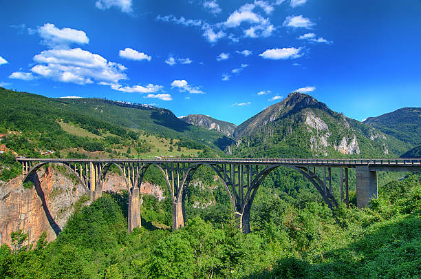 istock Mountain river Tara and forest in Montenegro. 526835610