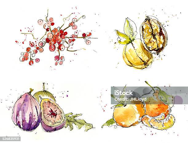 Fruit Stock Illustration - Download Image Now - Watercolor Painting, Fruit, Food