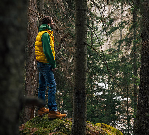 istock Traveler standing on a huge rock in the woods 526836116
