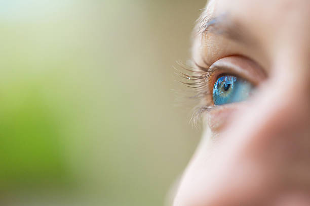 сосредоточьтесь на голубые глаза - reflection women human eye macro стоковые фото и изображения