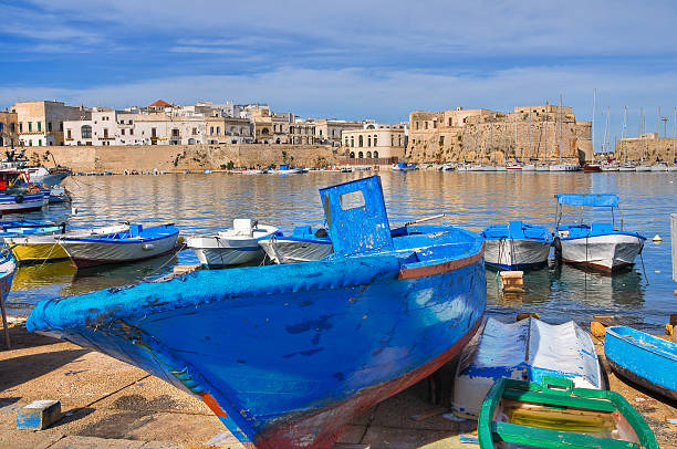 istock Panoramic view of Gallipoli. Puglia. Italy. 526838667