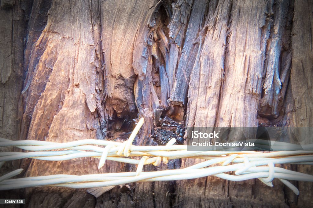Strangled Wires Rustic Wood Background With Barbed Wire Stock Photo - Download Image ...