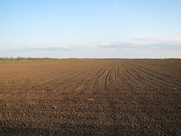 Plowed field on a background of blue sky in early spring