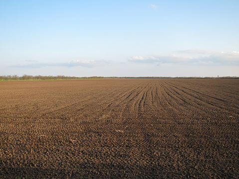 Plowed field on a background of blue sky in early spring