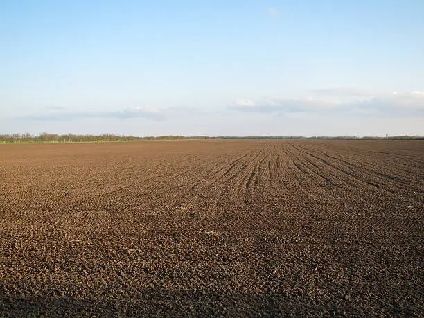 Photo of Plowed field of blue sky in early spring