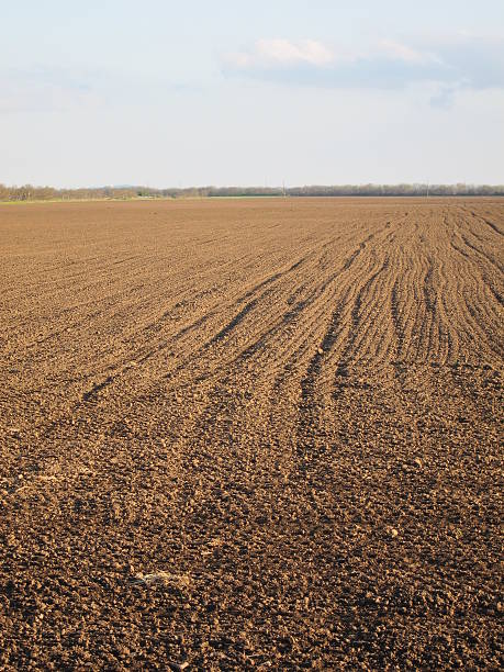 istock Plowed field of blue sky in early spring 526848670