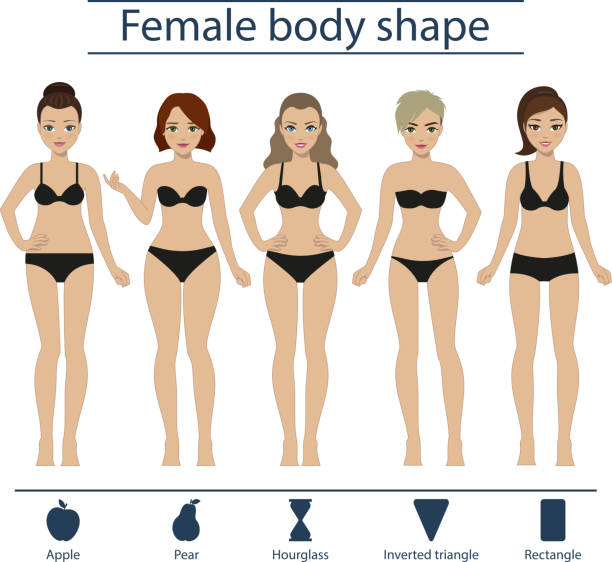 ilustrações, clipart, desenhos animados e ícones de corpo feminino forma definir - body shape