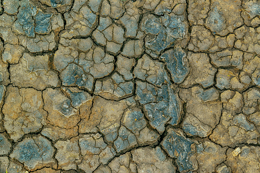 Mudcracks and soil drought, surface of dry waterless land in summer