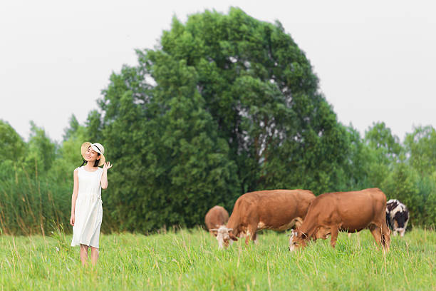 china beautiful rural girl in green pastures, grazing cattle and sheep.