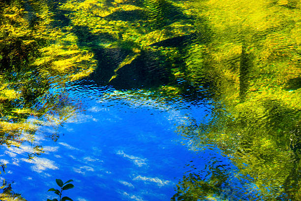 istock Summer Blue Green Colors Reflection Abstract Wenatchee River Washington 526854153
