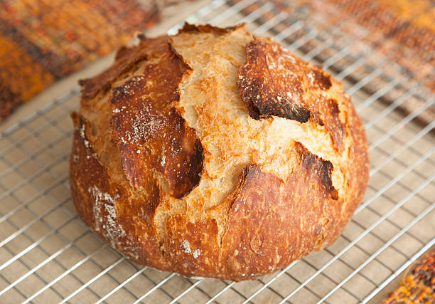 Warm Fresh, Crusty Bread