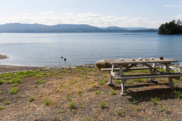 ocean beach A picnic table at an ocean beach ocean beach papua new guinea stock pictures, royalty-free photos & images