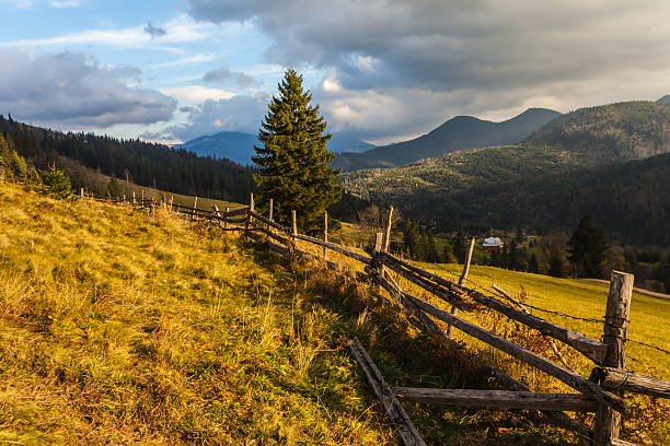 istock Fog covering the mountain forests 526855417