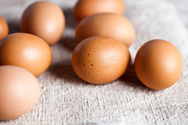 brązowe jaja świeże - agriculture brown burlap cholesterol zdjęcia i obrazy z banku zdjęć