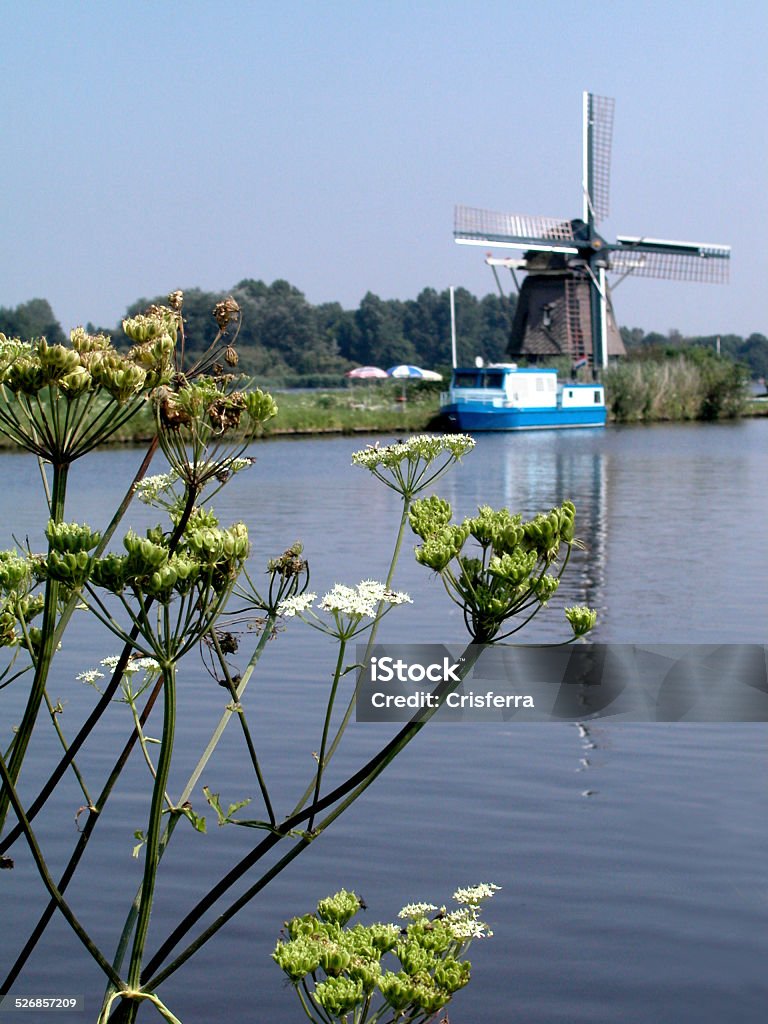 Canale e Mulino a vento - Foto stock royalty-free di Ambientazione esterna
