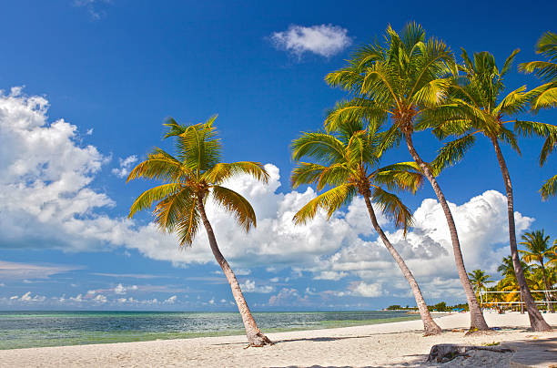 Tropical summer beach paradise in Key West Florida stock photo