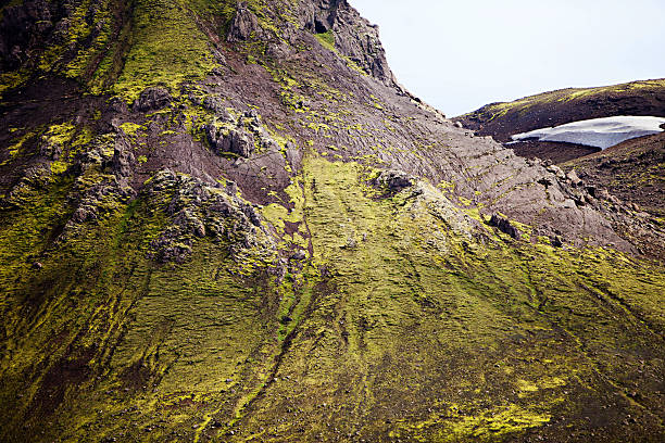 Volcanoes create a bizarre landscape of rhyolite rocks and green moss along the Landmannalaugar trek