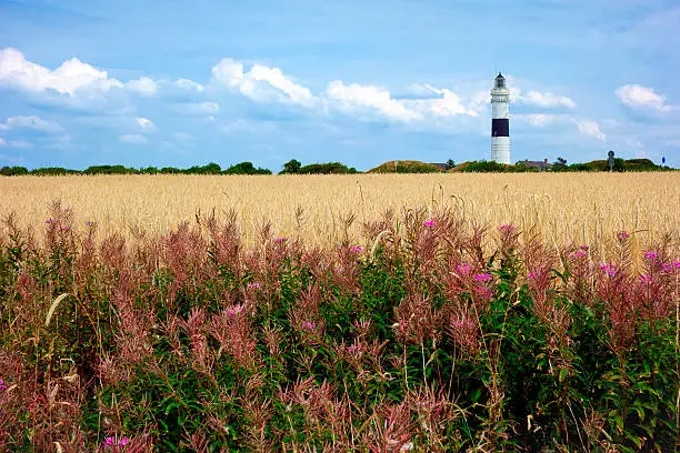 Lighthouse of Westerland city in the island Sylt, Germany. Surrounded by a beautiful grassland, creates an artistic landscape and landmark.