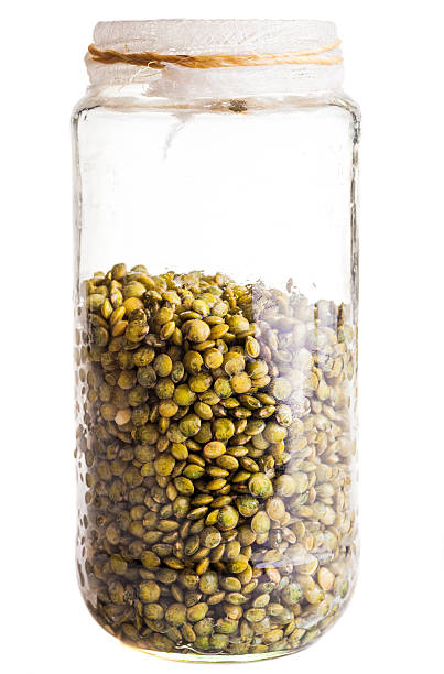 wet-pousse de lentilles française dans un bocal en verre - legume bean lentil cereal plant photos et images de collection
