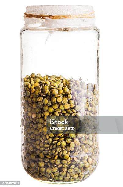 Wet Sprouting French Lentils In A Glass Jar Stock Photo - Download Image Now - Jar, Lentil, Bean