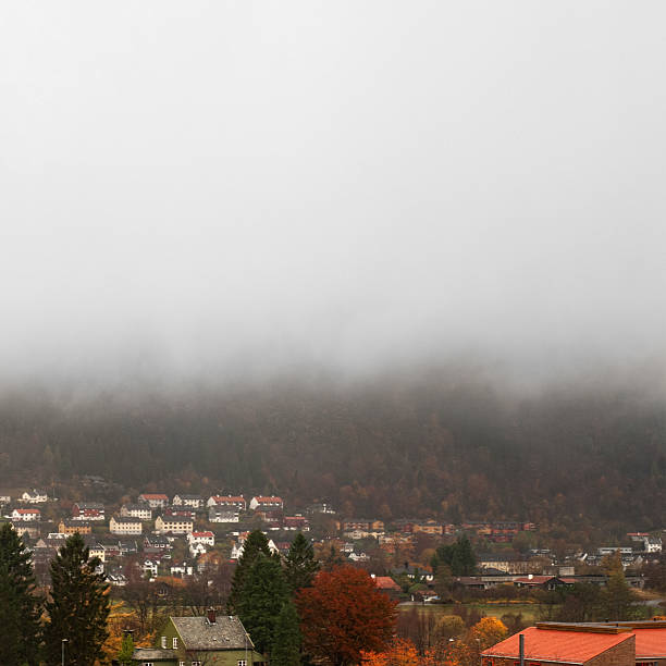 Colorful autumn and fog in the mountain, Bergen Norway