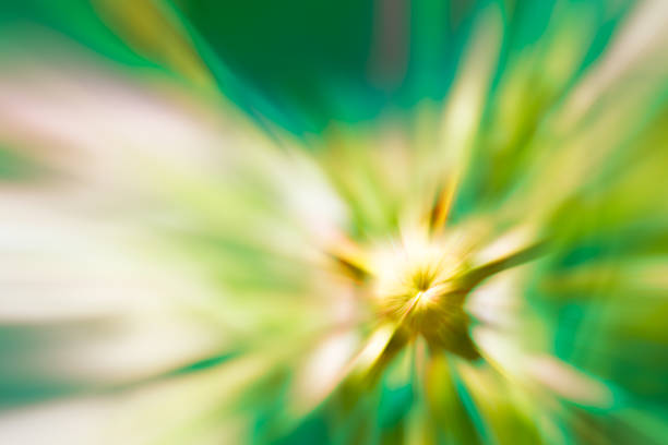 green and yellow color tone radial motion blur illustration abstract of the flower for background