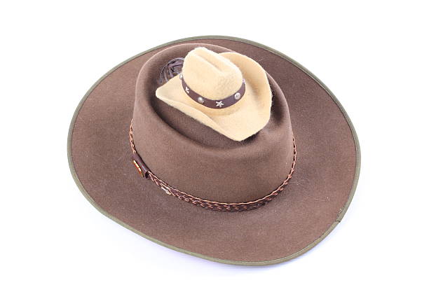 istock Brown Cowboy Hat isolated on white background. 526878953