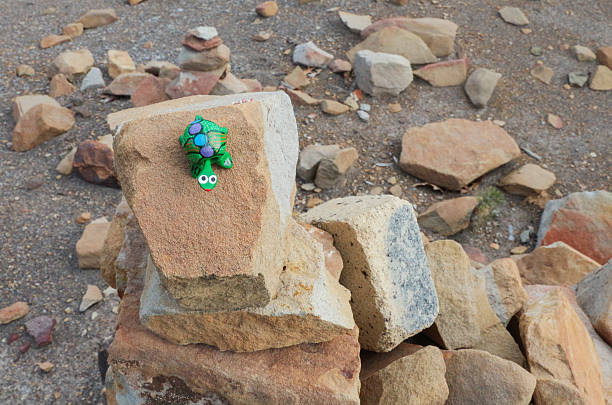 Taken on a trail in Colorado