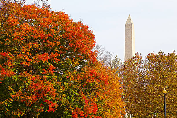 istock Colorful autumn in Washington DC 526896449