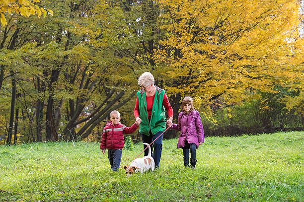 istock Grandmother and grandchildren 526896977