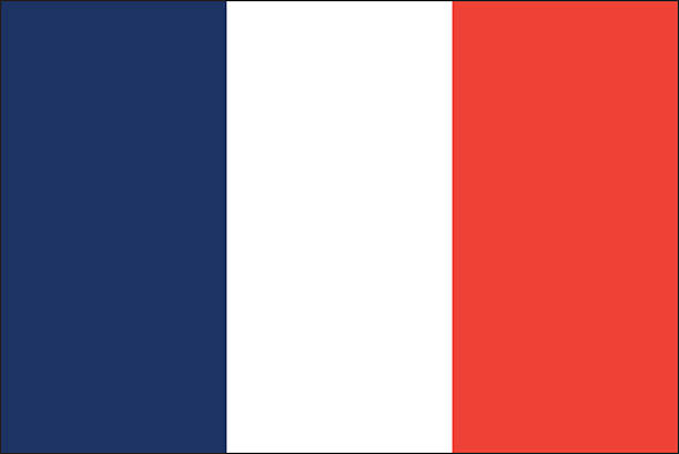 France flag vector art illustration