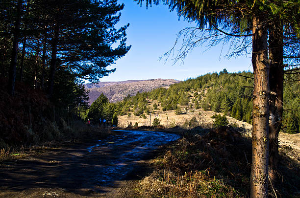 istock Mountain road in early spring, mount Stolovi 526897555