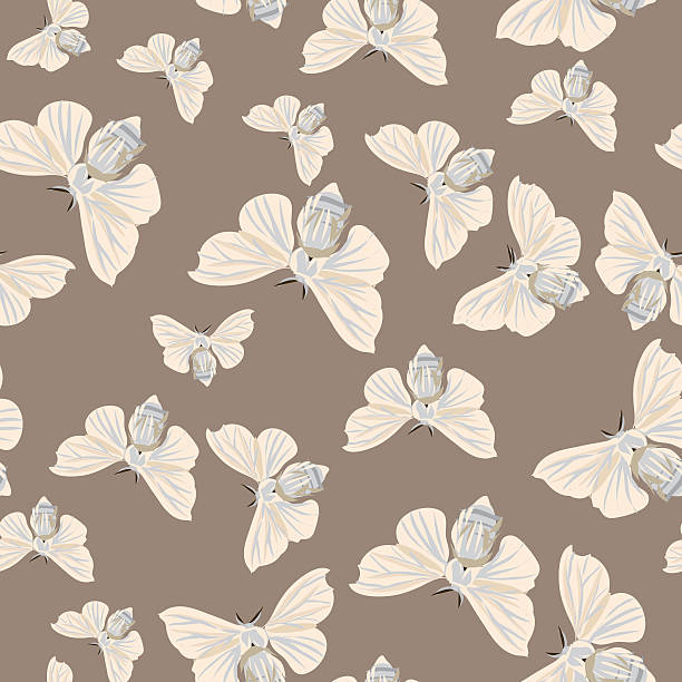 Silk Moth Pattern 160+ Silk Moth Stock Illustrations, Royalty-Free Vector Graphics & Clip ...