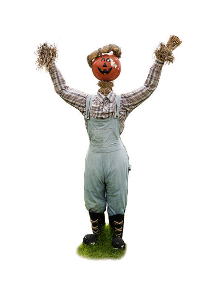 istock Scarecrow with a pumpkin head 526900495