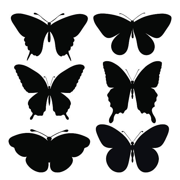 세트마다 블랙 실루엣 of 나비 - butterfly monarch butterfly spring isolated stock illustrations