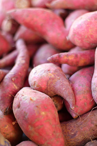 istock Fresh yam at the market 526916187