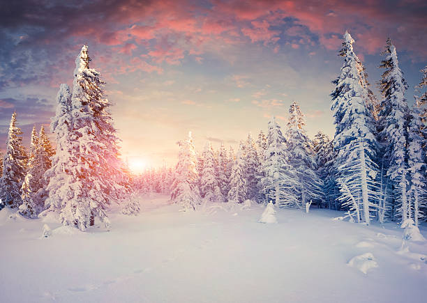 istock Colorful winter sunrise in the mountains 526917269