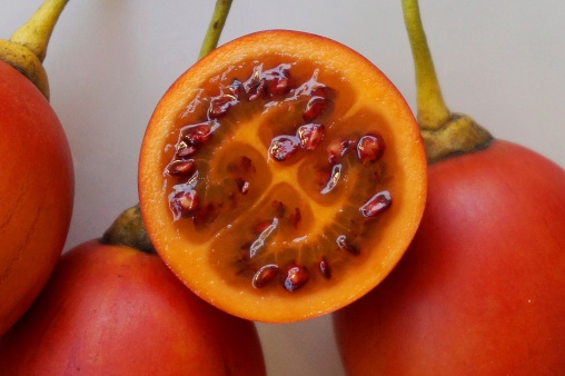 Whole and halved fresh Tamarillo fruits on white background.