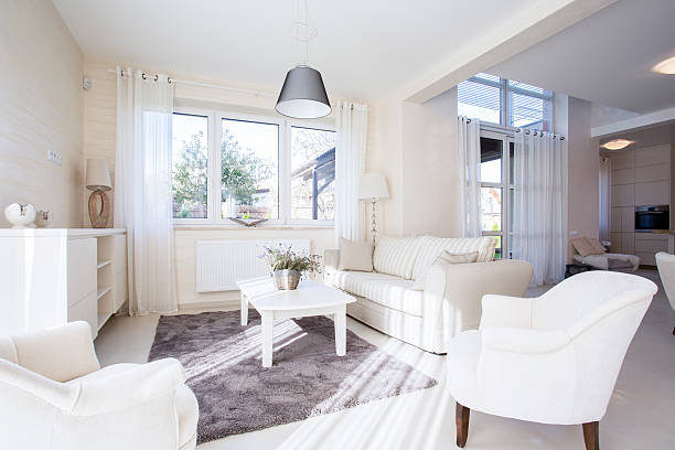 istock Luxury and spacious living room 526919685