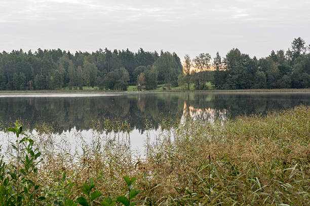 istock reflection of clouds in the lake with boardwalk 526919839